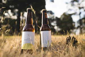 Jun Kombucha - Ginger & Lemon Myrtle (4% alc/vol)