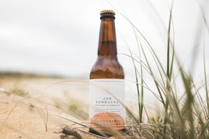 Jun Kombucha - Mandarin & Finger Lime (4% alc/vol)