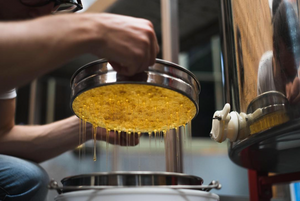 Botanical Brew Raw Honey (350g)